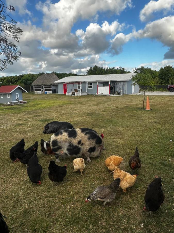 Arritola B And B Ranch Хомстед Экстерьер фото